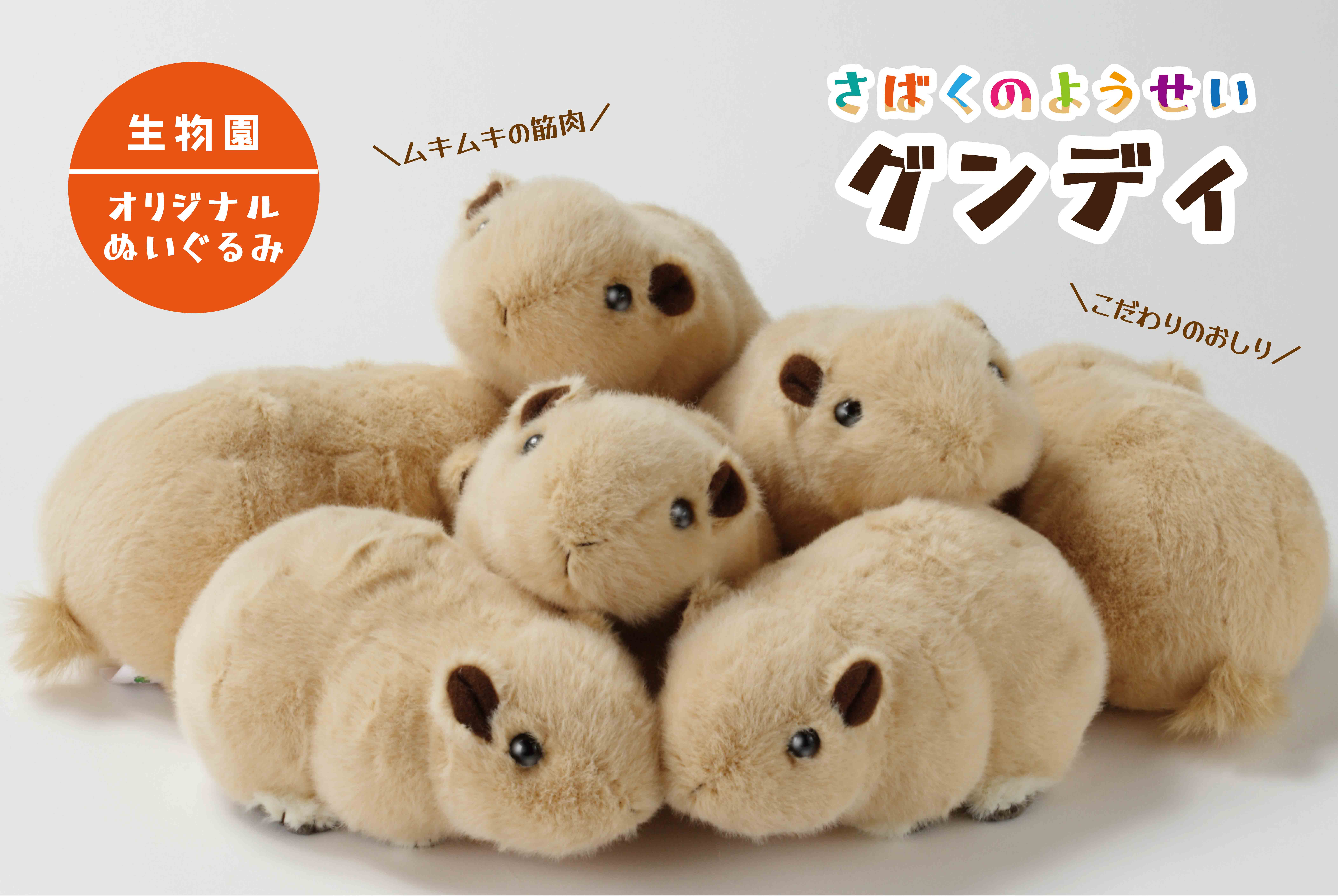 【匿名配送】ぬいぐるみ動物園 Free ! （TAPIOCA）☆ ぬいぐるみ（動物園）《掌心动物园毛绒